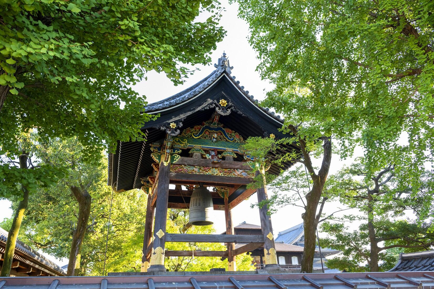 _DSC9664 - コピー.jpg